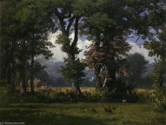 Eichwaldlichtung Clearing In Oak Forest — Роберт Цунд
