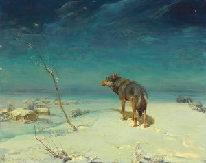 Wolf Rawicki (Ravitzki)