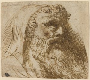 Domenico Campagnola