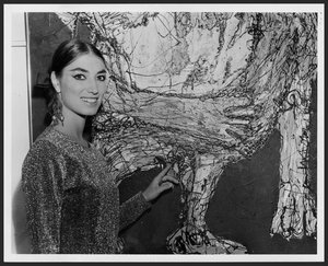 susan nudelman