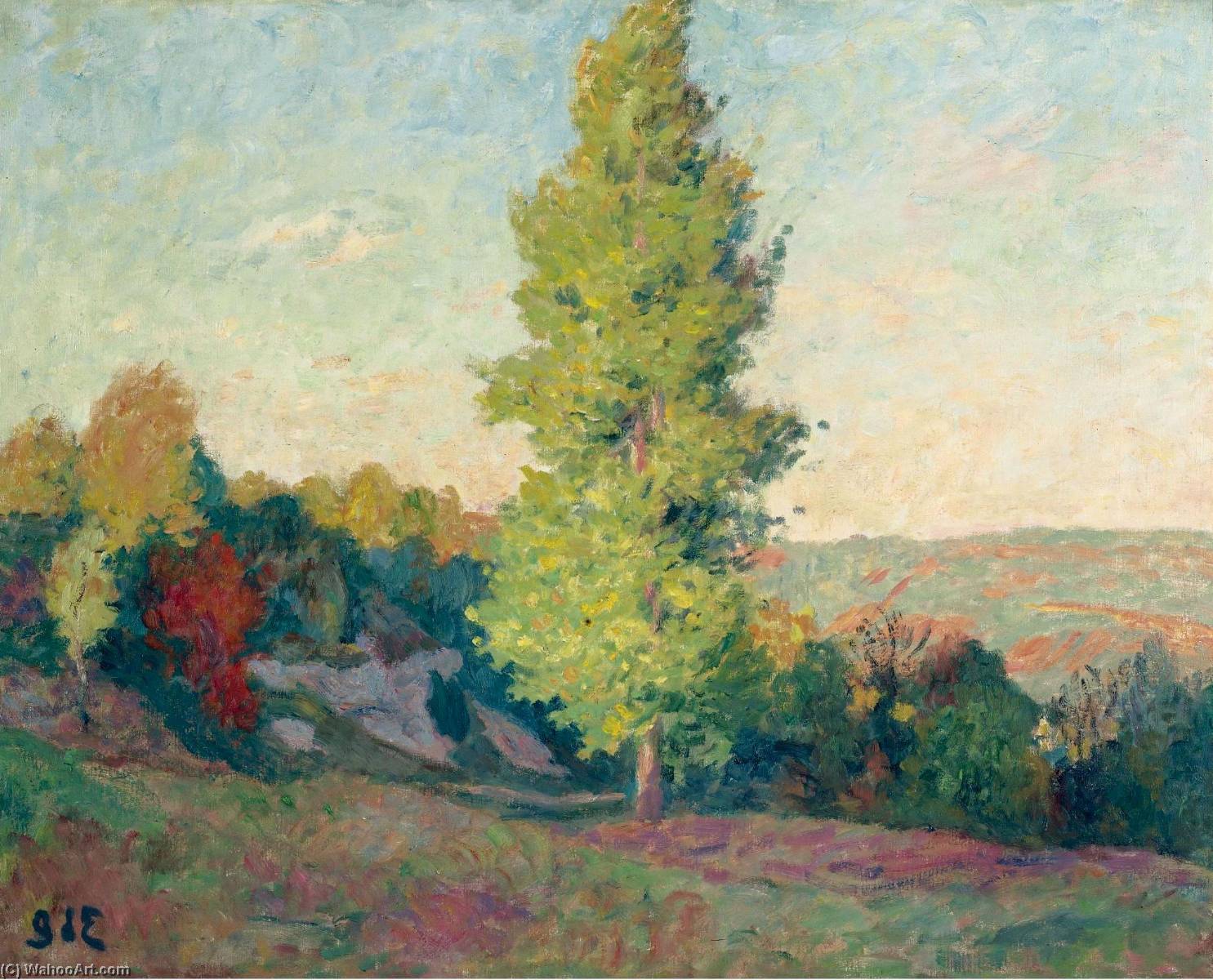 Landscape — Georges D'espagnat