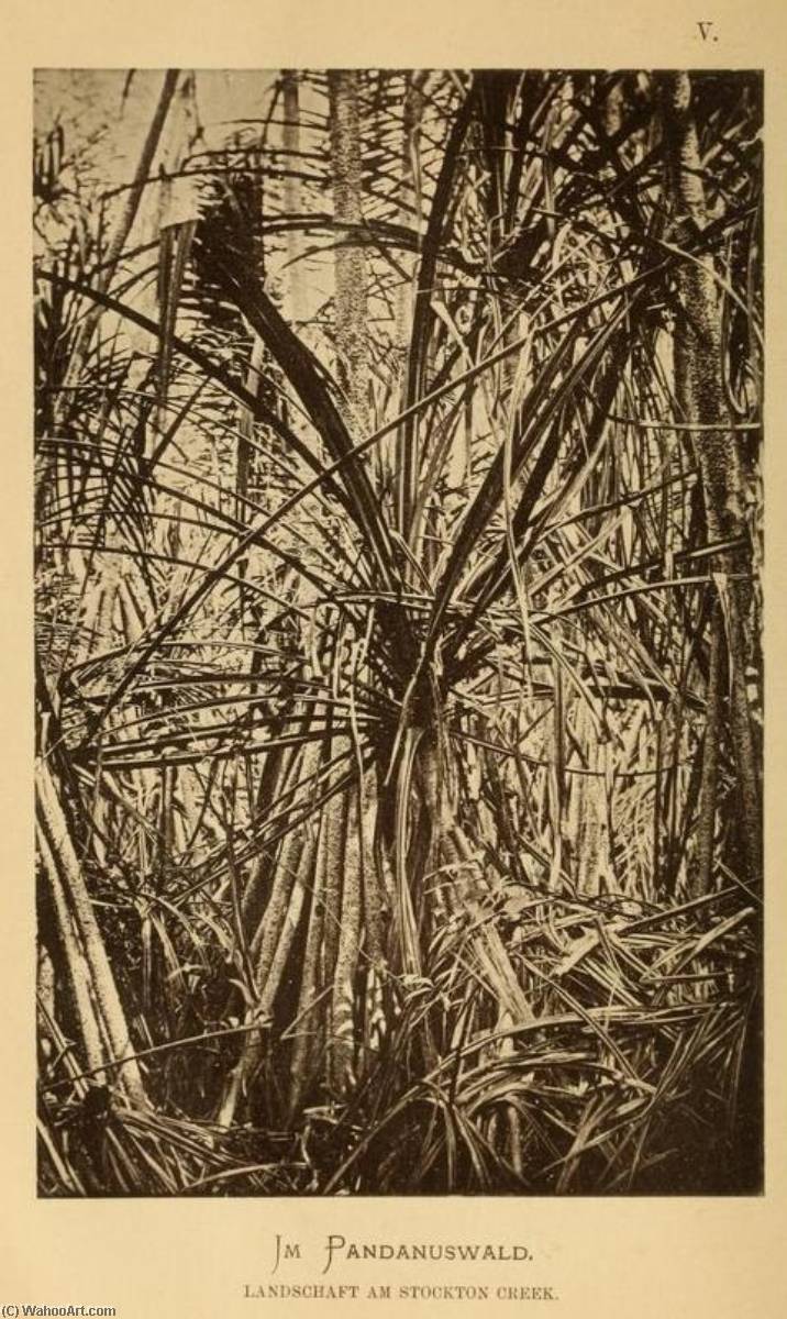 Untitled (aqu5wz) — Johann Büttikofer