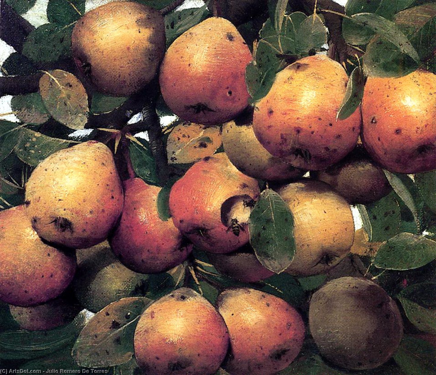 Pears — Julio Romero De Torres