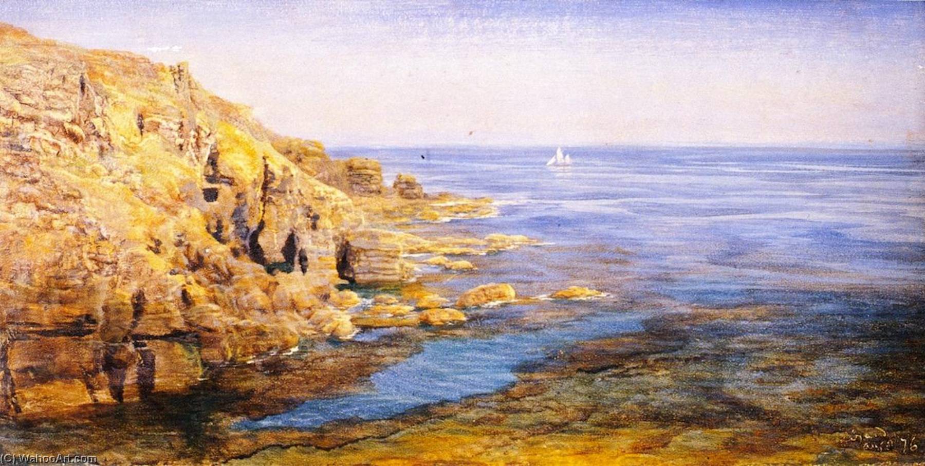 Lizard — John Edward Brett