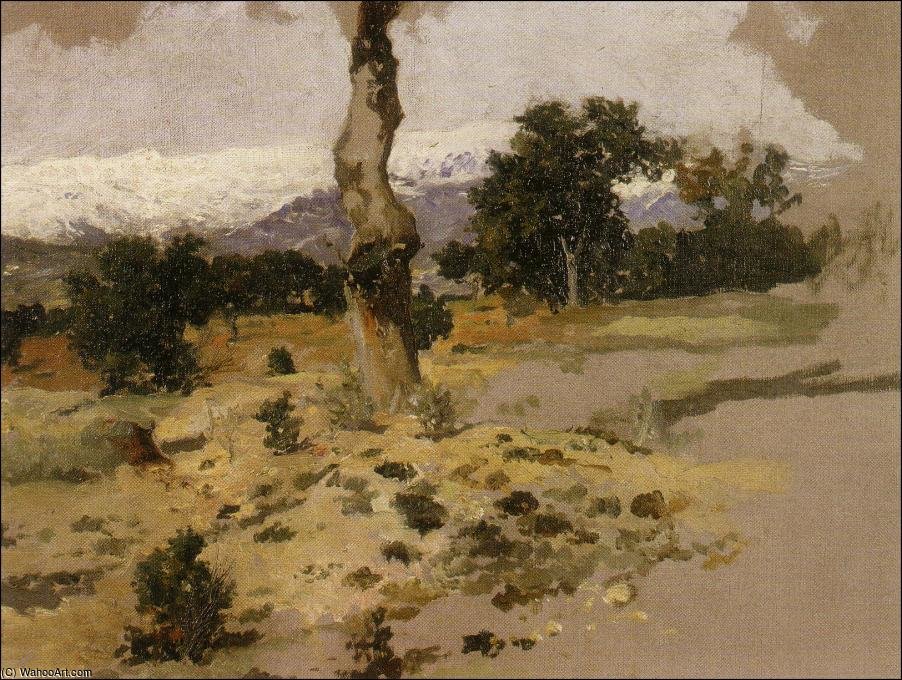 Paisaje De El Pardo — Manuel Benedito Vives
