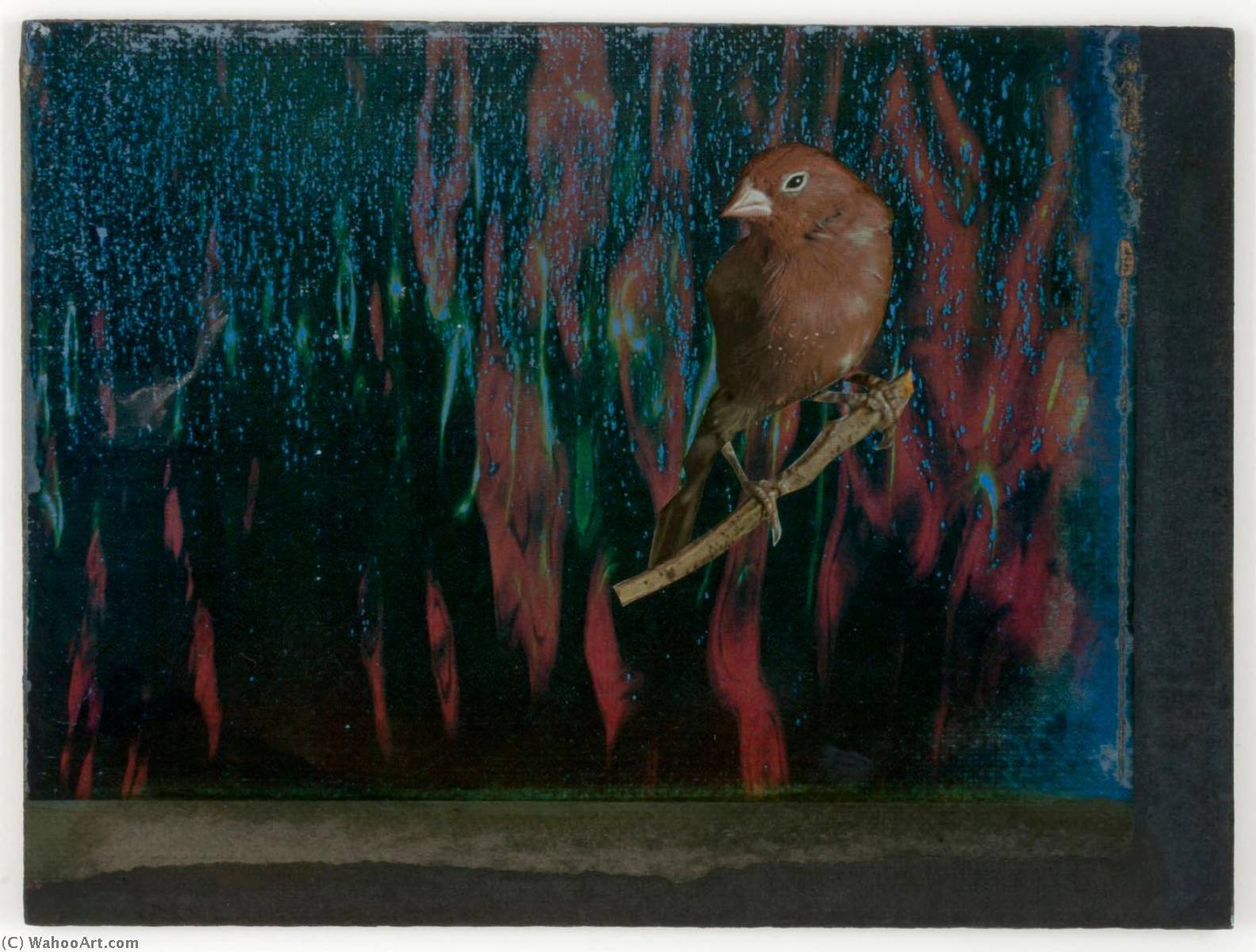 Untitled (red And Blue Water Reflections) — Józef Kornel