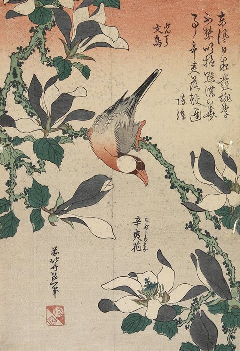 Java Sparrow And Magnolia — Katsushika Hokusai