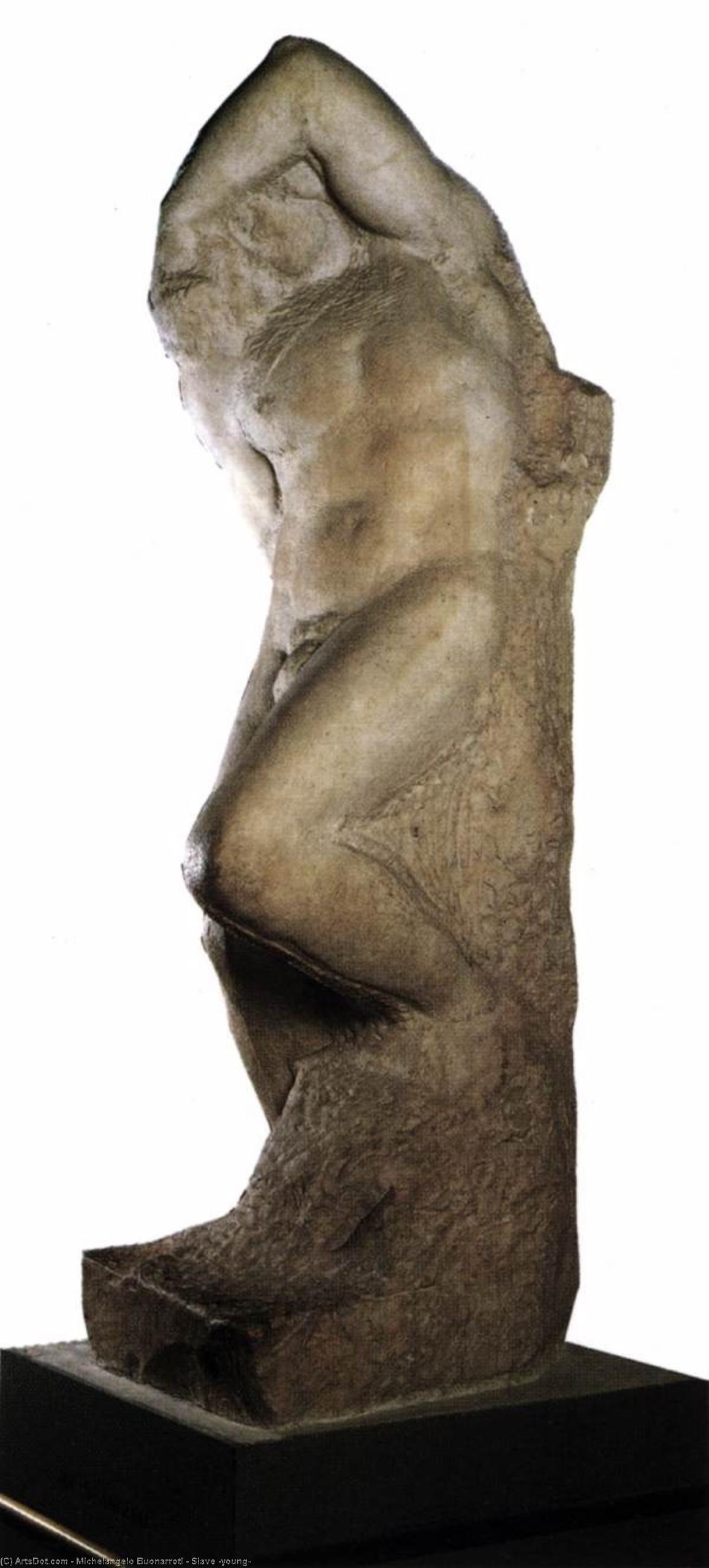 Schüler — Michelangelo Buonarroti