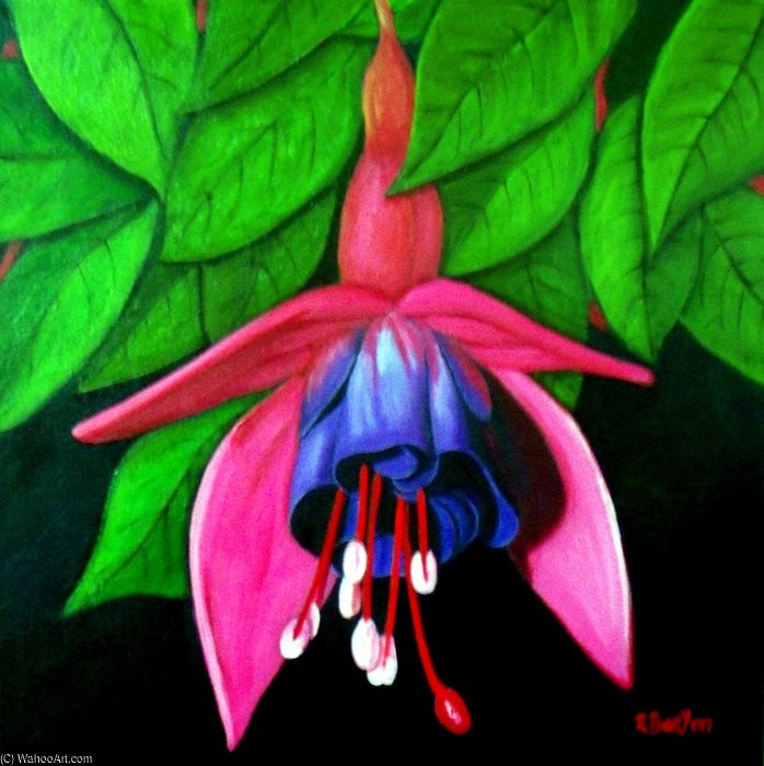Fuchsia — روز ماينارد بارتون