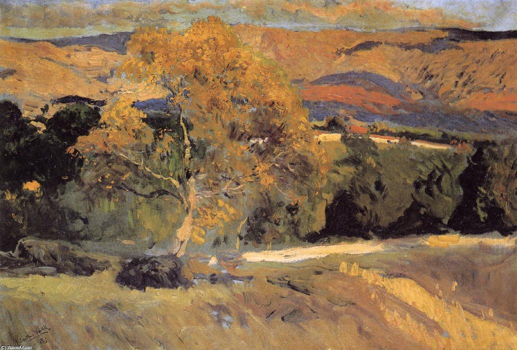 The Yellow Tree, La Granja — 索罗拉·巴斯蒂达