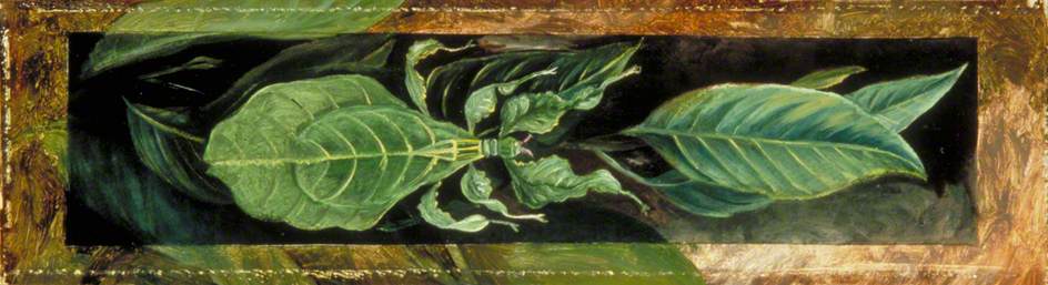 Leaf Insect — Marianne North