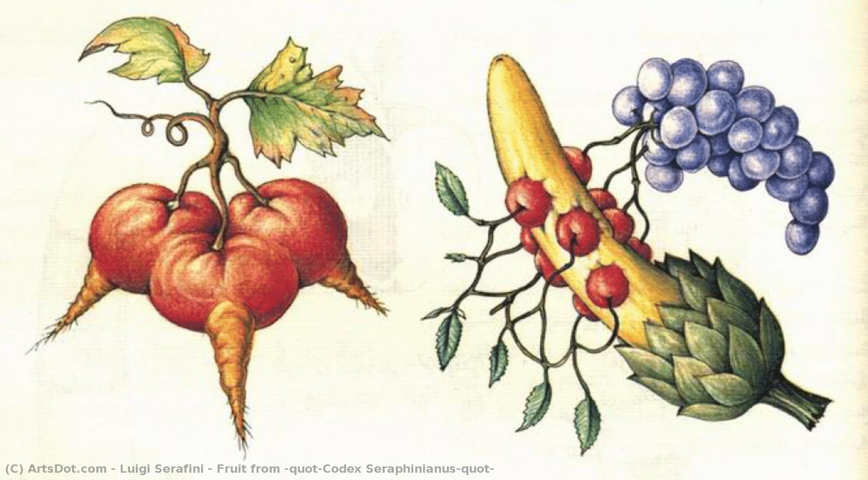 Fruit From "codex Seraphinianus" — Luigi Serafini