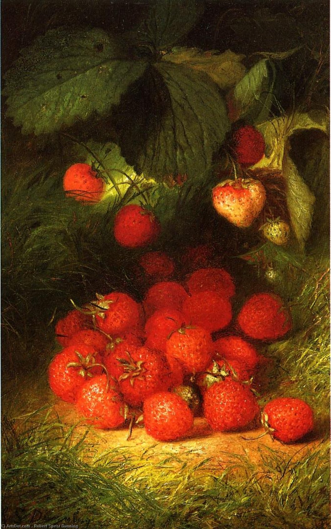 Strawberries — Robert Spear Dunning