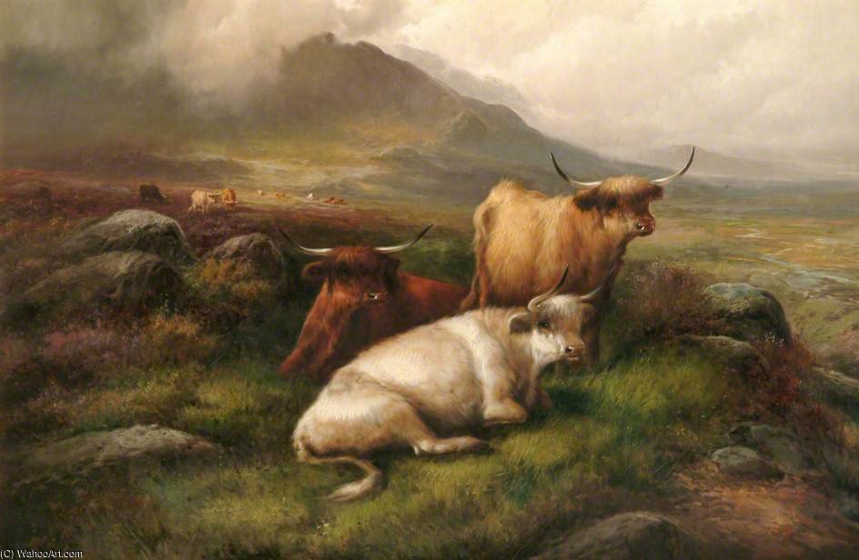 Cattle — John Morris