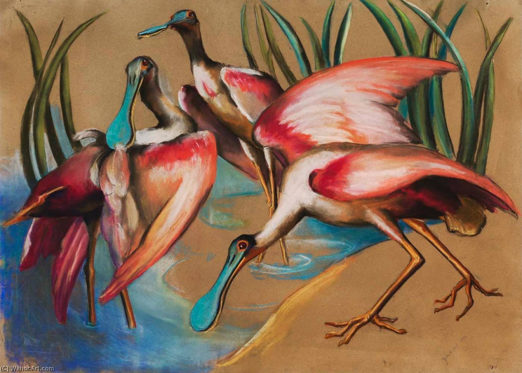 Roseate Spoonbills — Julia Eckel