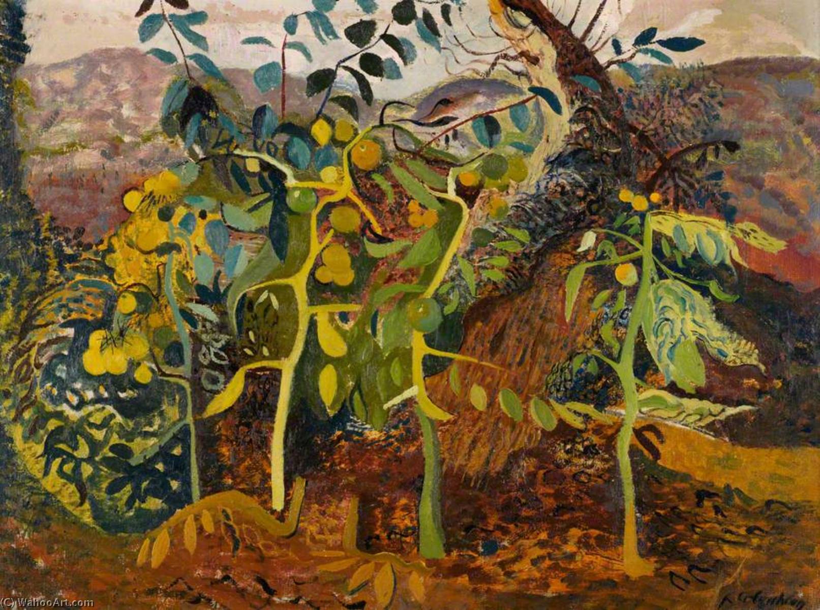 Tomato Plants — Robert Colquhoun