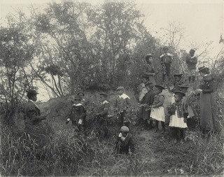 Primary Class Studying Plants Whittier School — Frances Benjamin Johnston