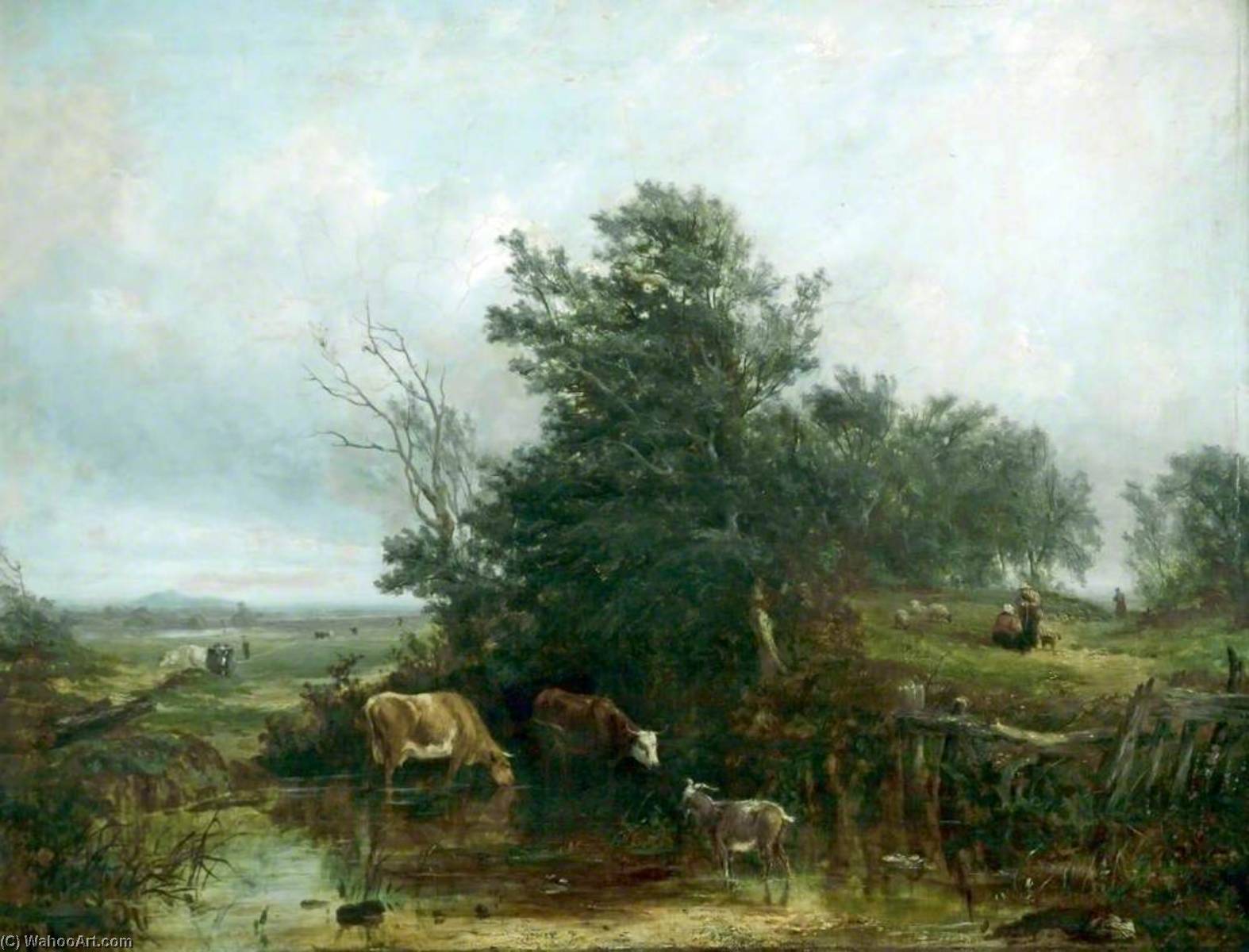 A Shady Stream — John H (jock) Wilson