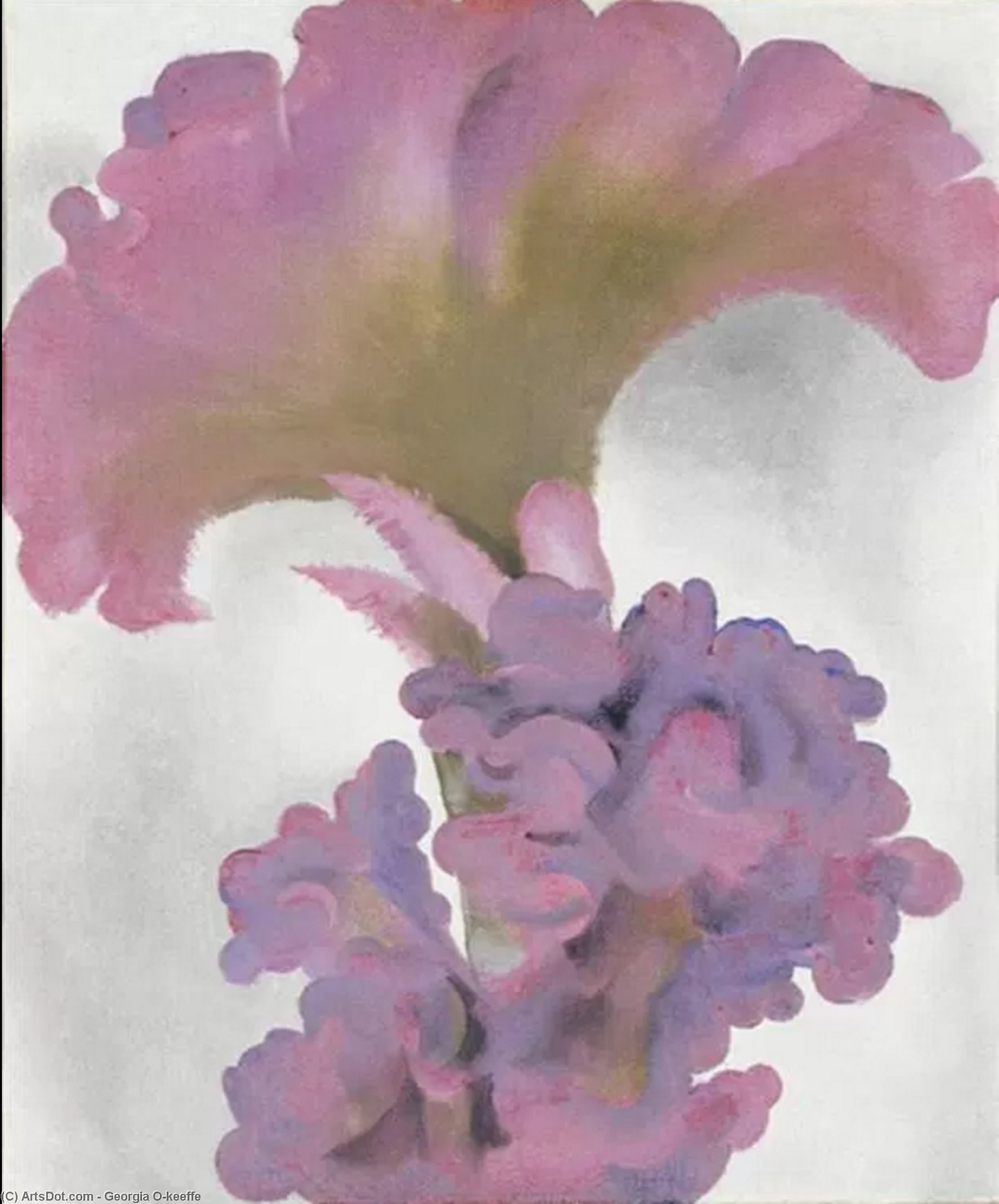 Coxcomb — Georgia O'keeffe