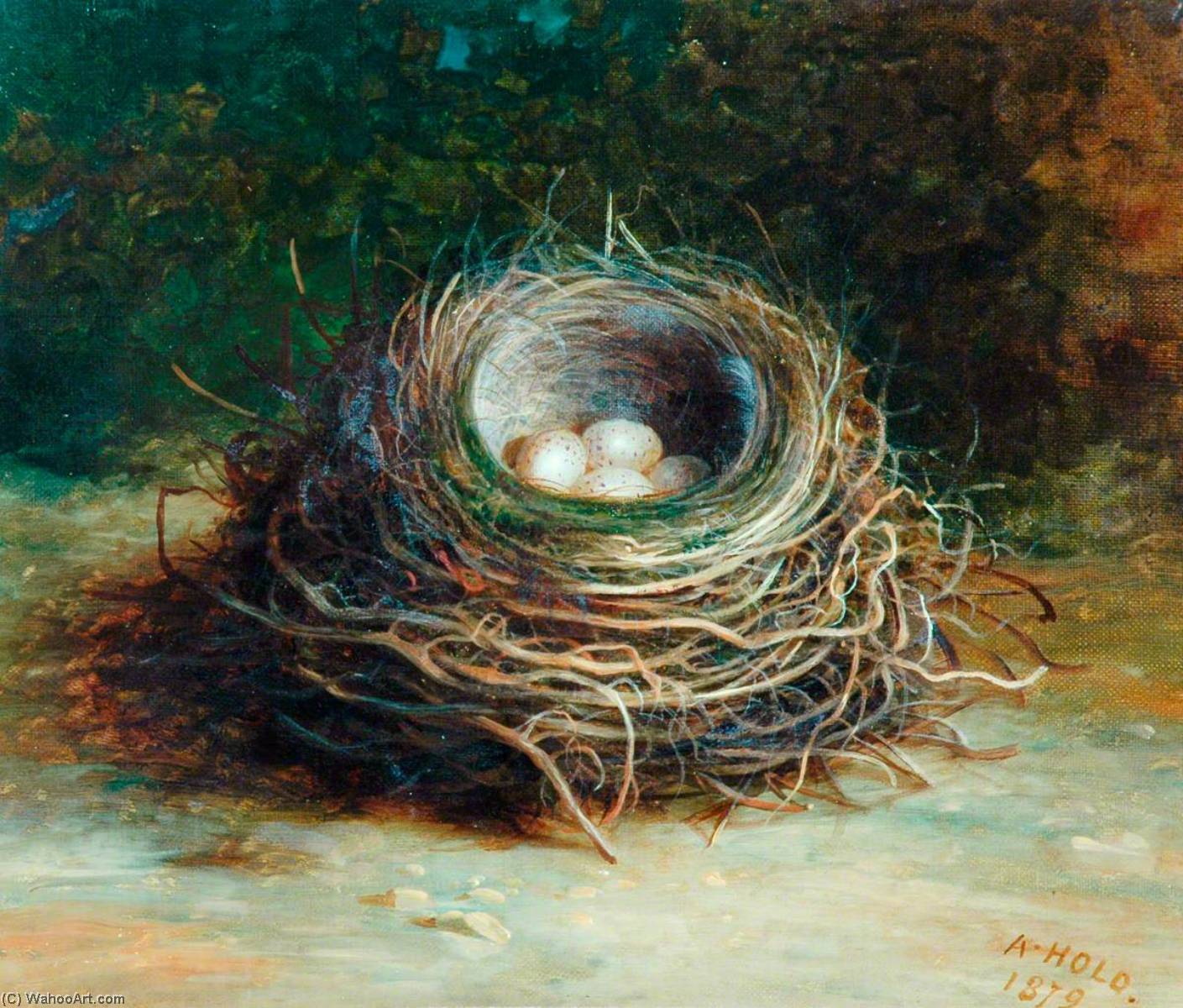 Starling's Nest — Abel Hold