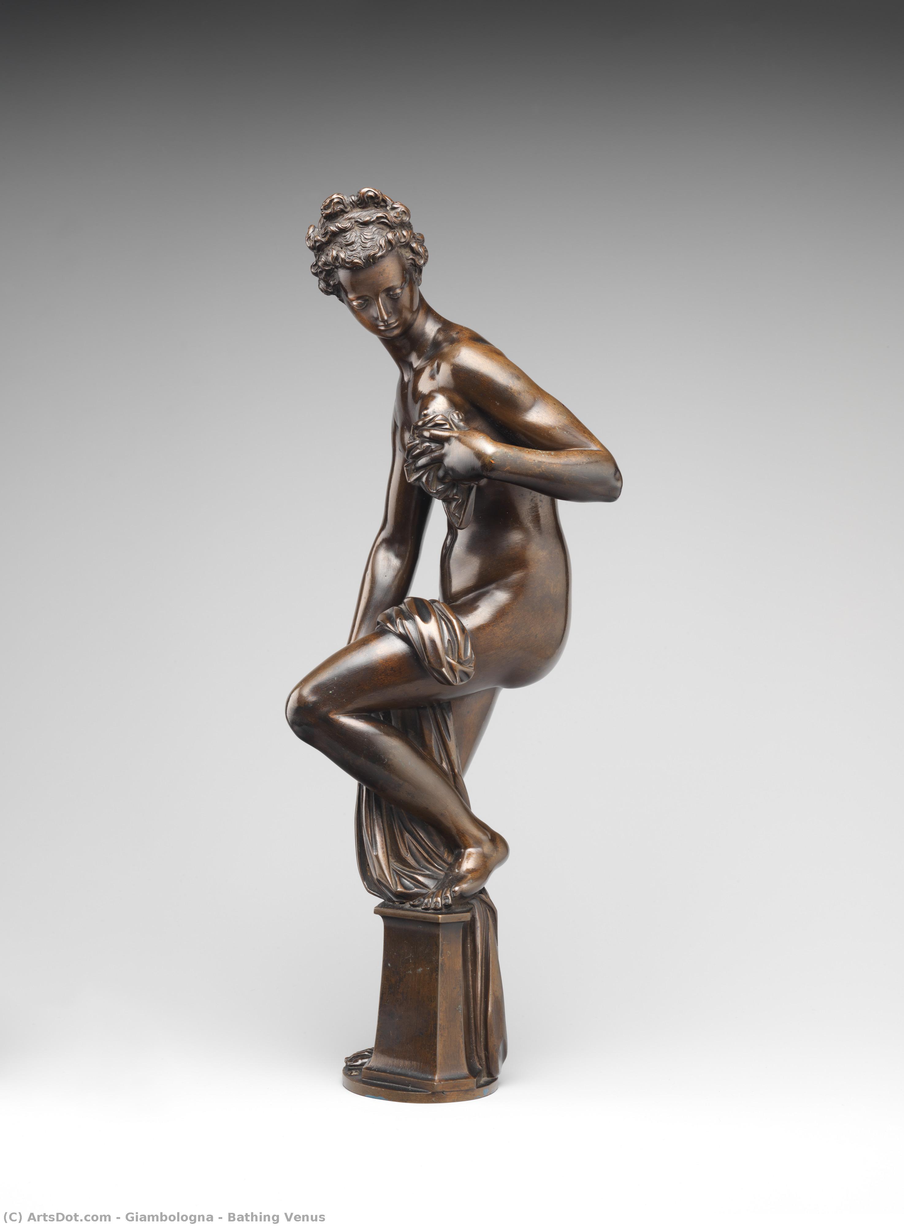 Bathing Venus — Đambologna