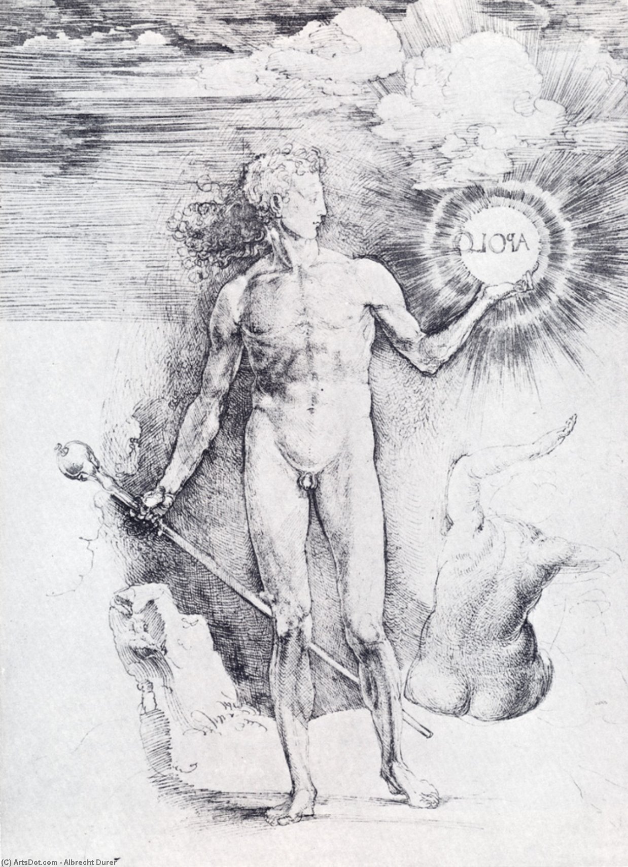 Apollo With The Solar Disc — Albreht Direr