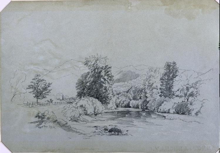 Bouquet River — David Johnson