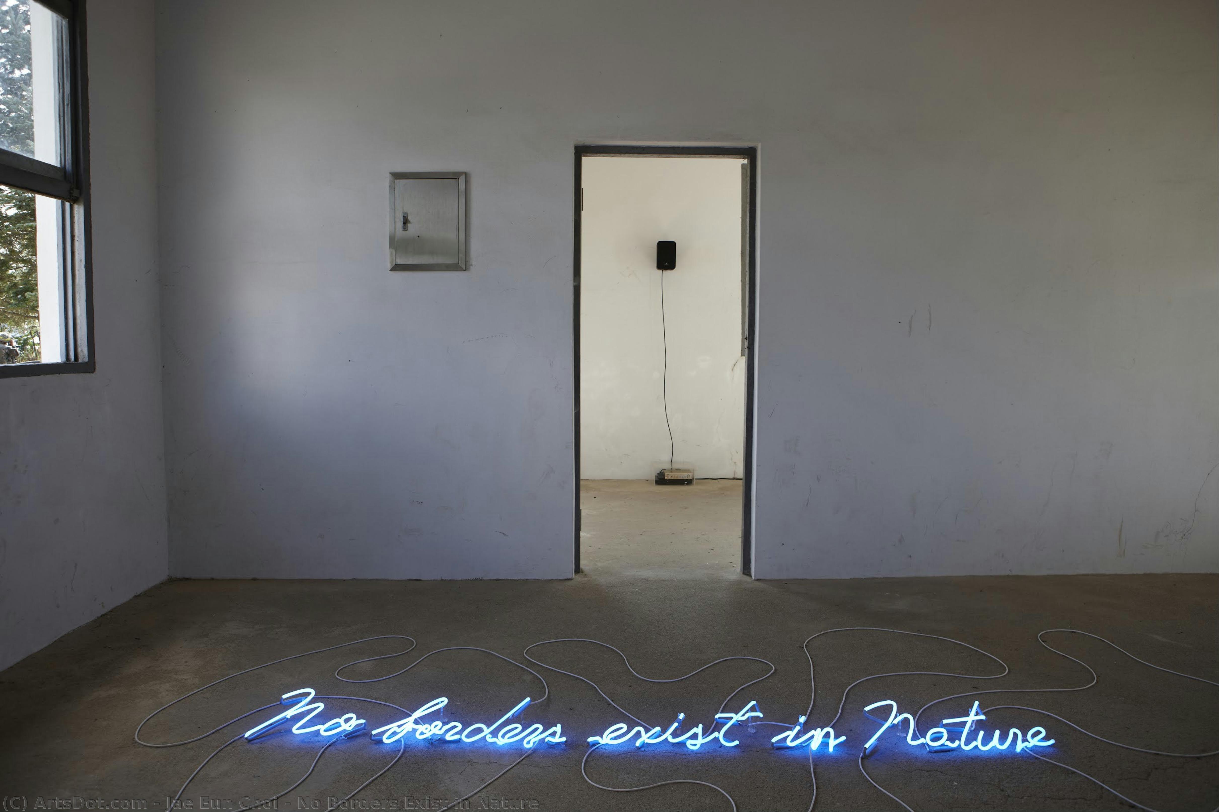 No Borders Exist In Nature — Jae Eun Choi