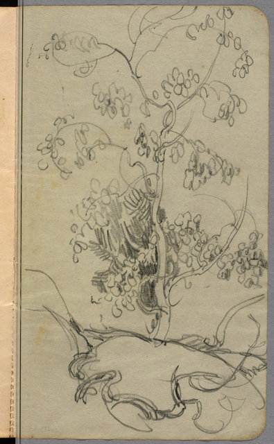 Tree Study — Arthur Lismer