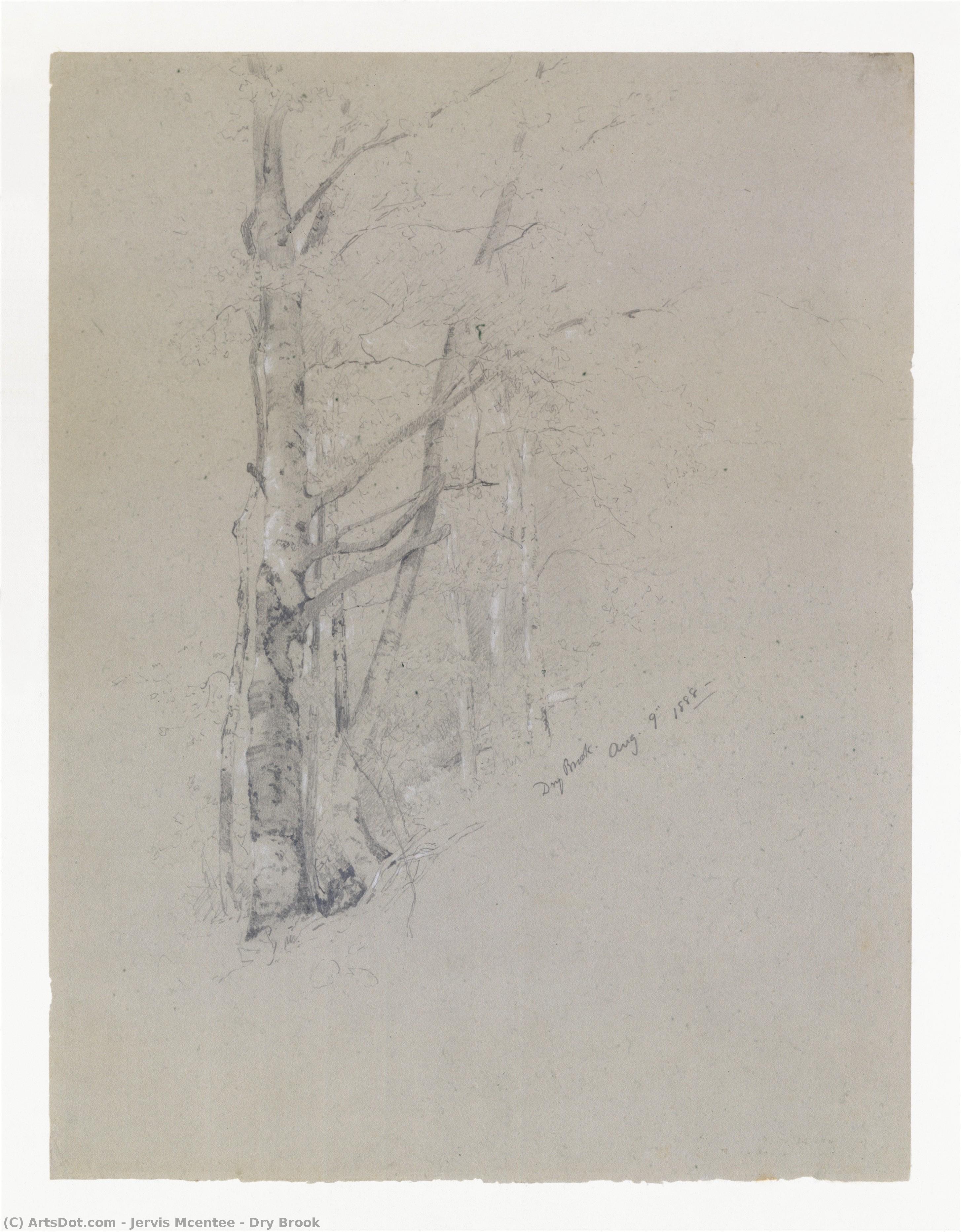 Dry Brook — Jervis Mcentee