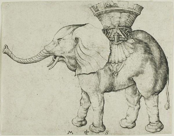 The Elephant — Мартин Шонгхуаер