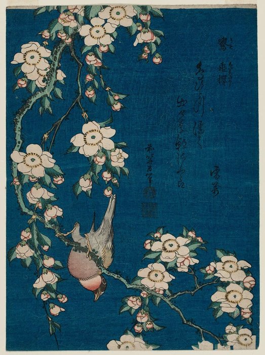 Kaksilukuinen Kyynelevä Kirsi Ja Valkoinen Linnun Kuori — Hokusai