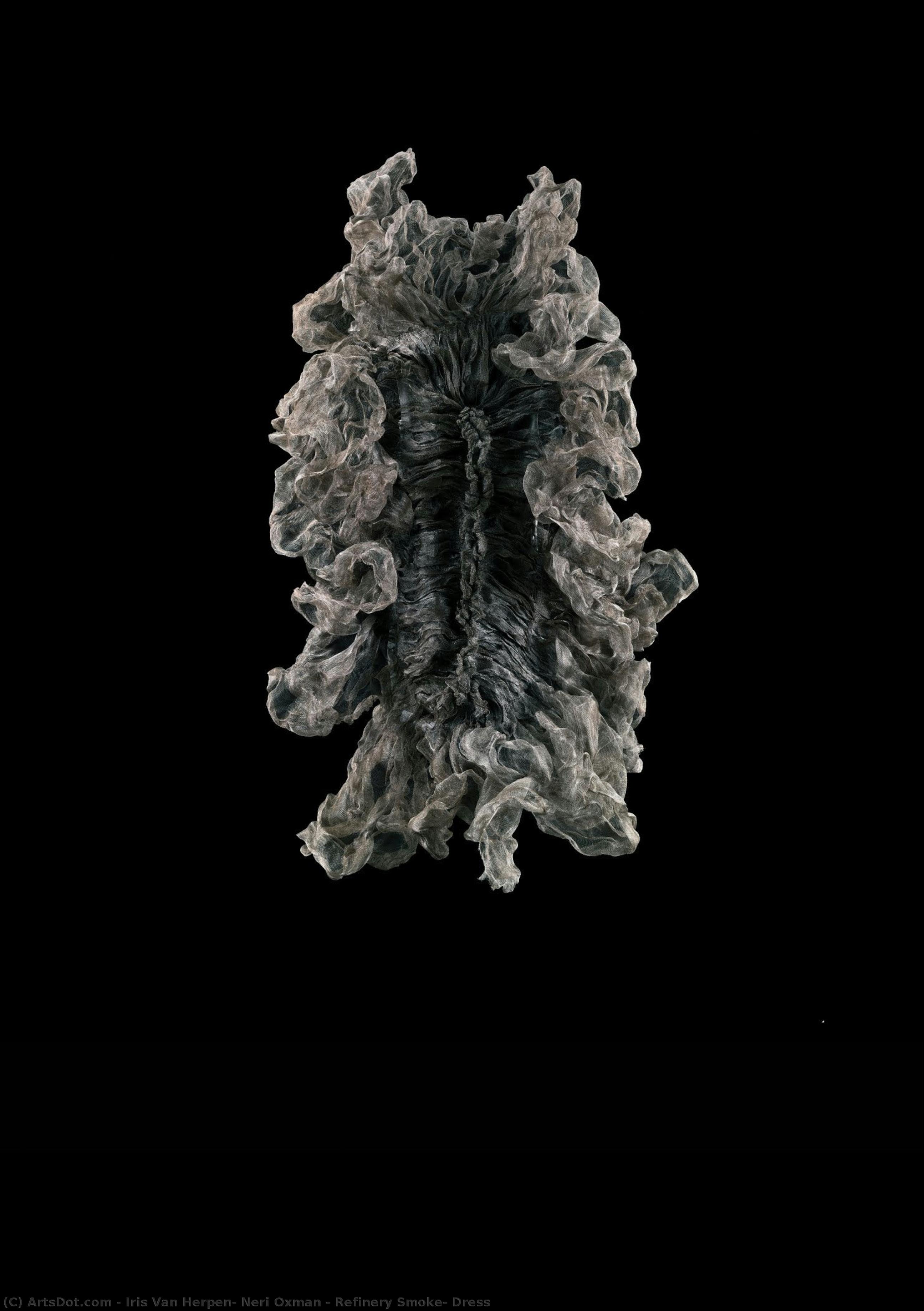 Fabriksrök, Klänning — Iris Van Herpen, Neri Oxman