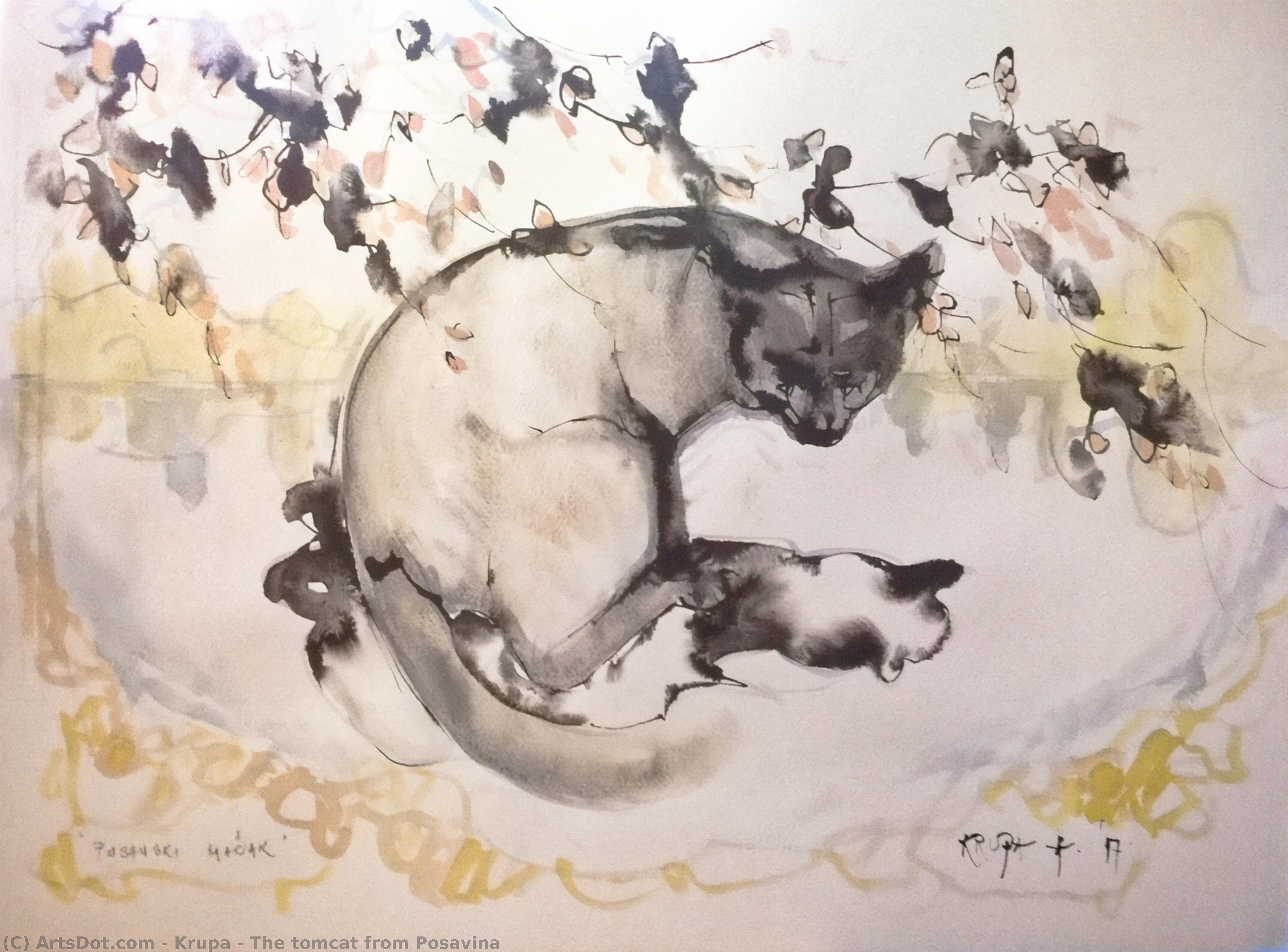 The Tomcat From Posavina — Krupa