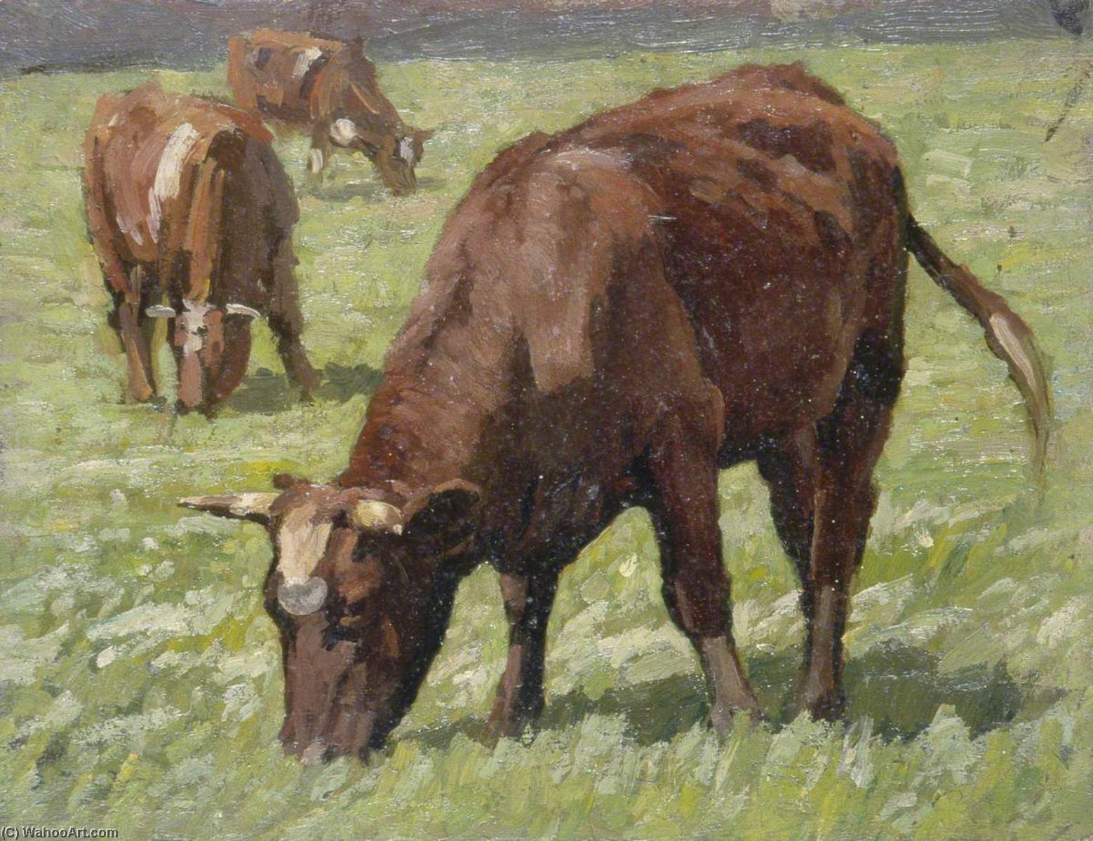 Grazing Cows — Gunning King