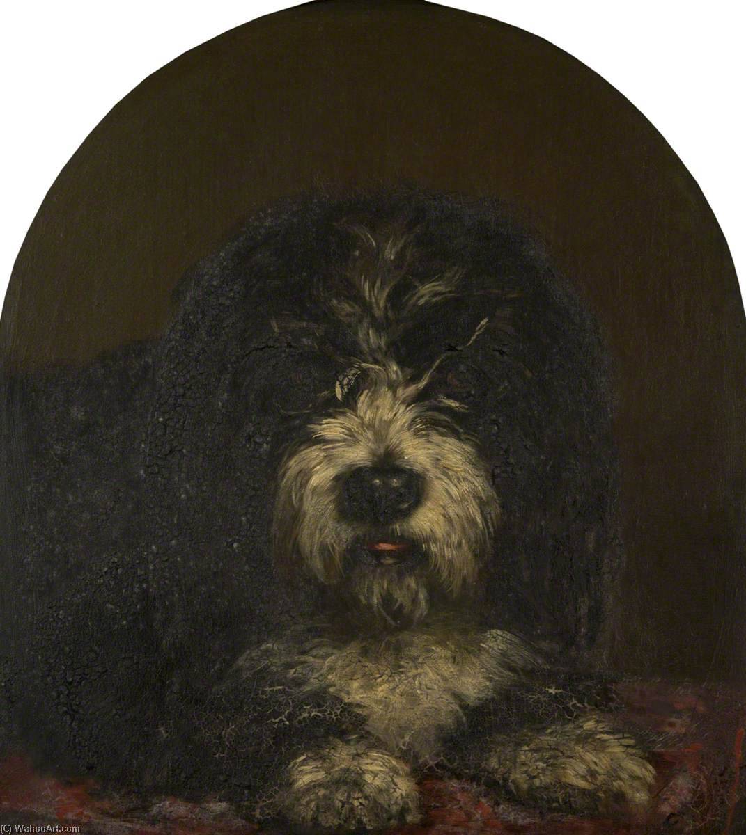 Head Of A Dog — Patrick Allan Fraser