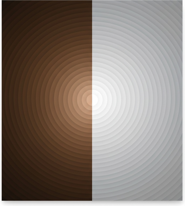 Symmetrical Resonance: Gradient Echoes Between Ochre Warmth And Lunar Gray Silence — Laurent Fabre