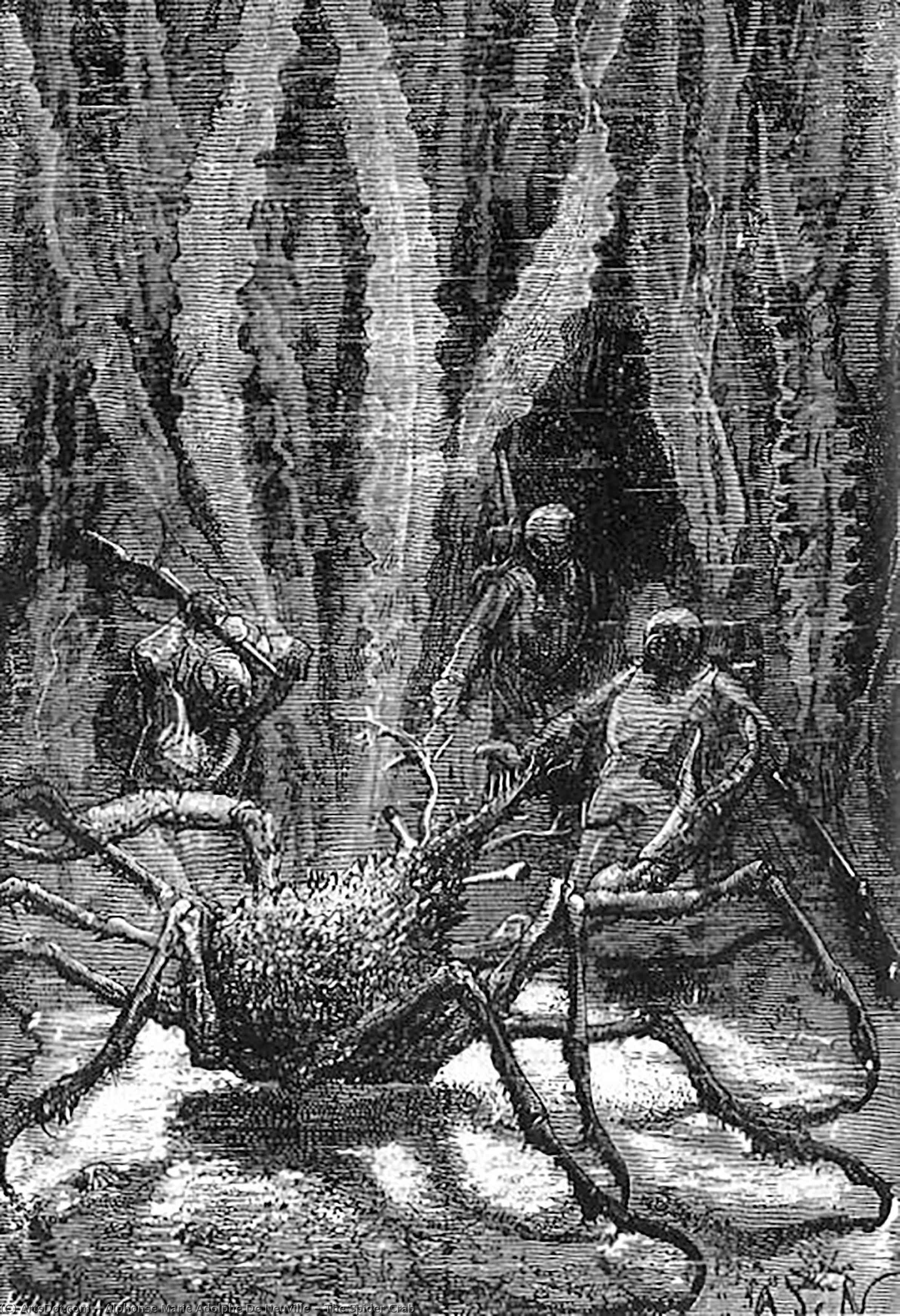 The Spider Crab — Alphonse De Neuville