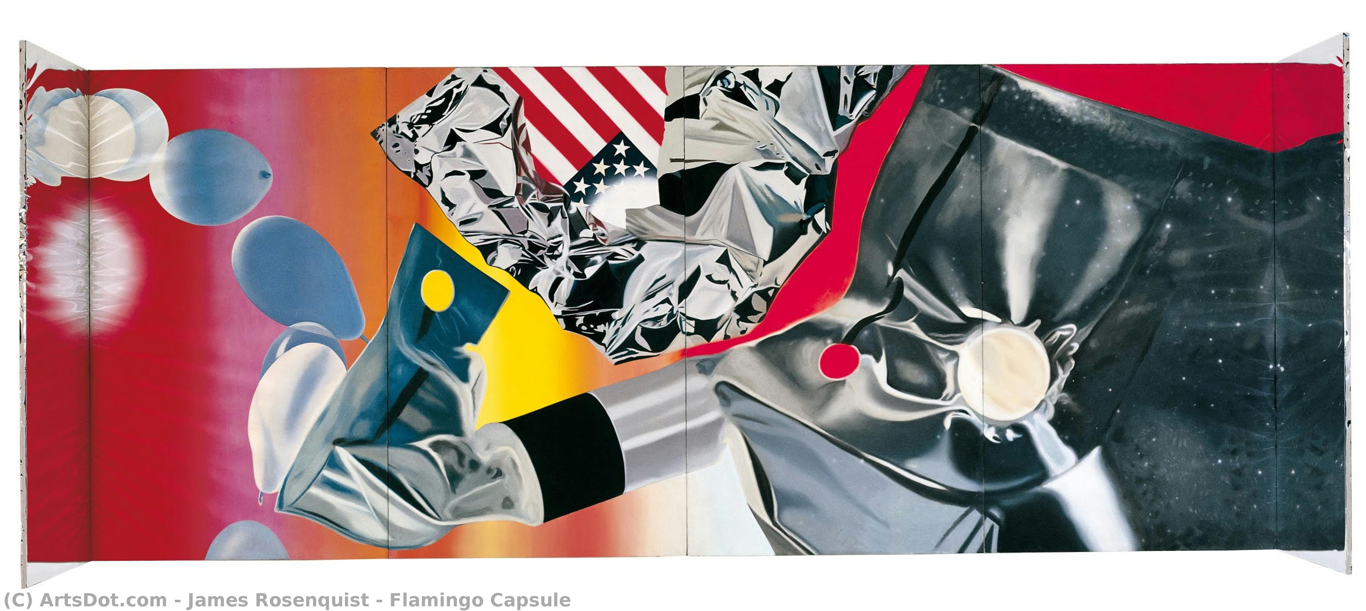 Capsula Del Flamingo — James Rosenquist