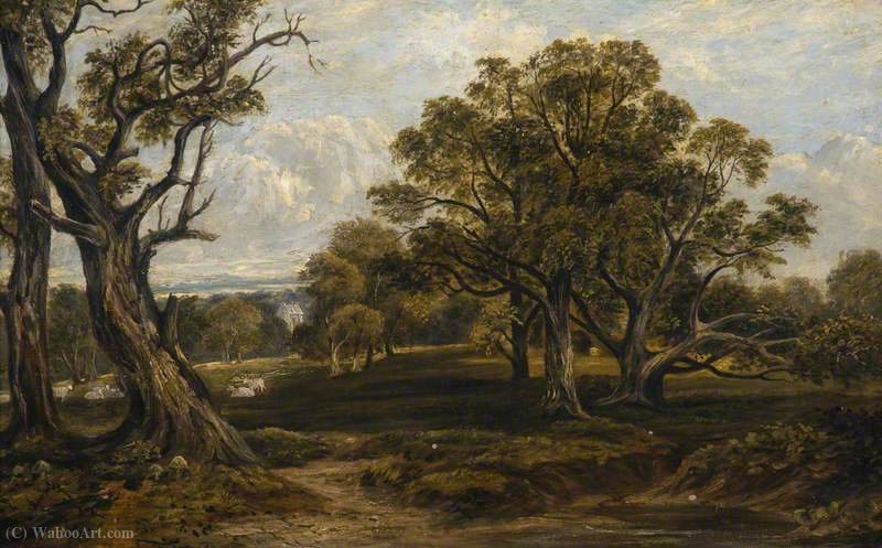 Cadzow Forest — Alexander Fraser
