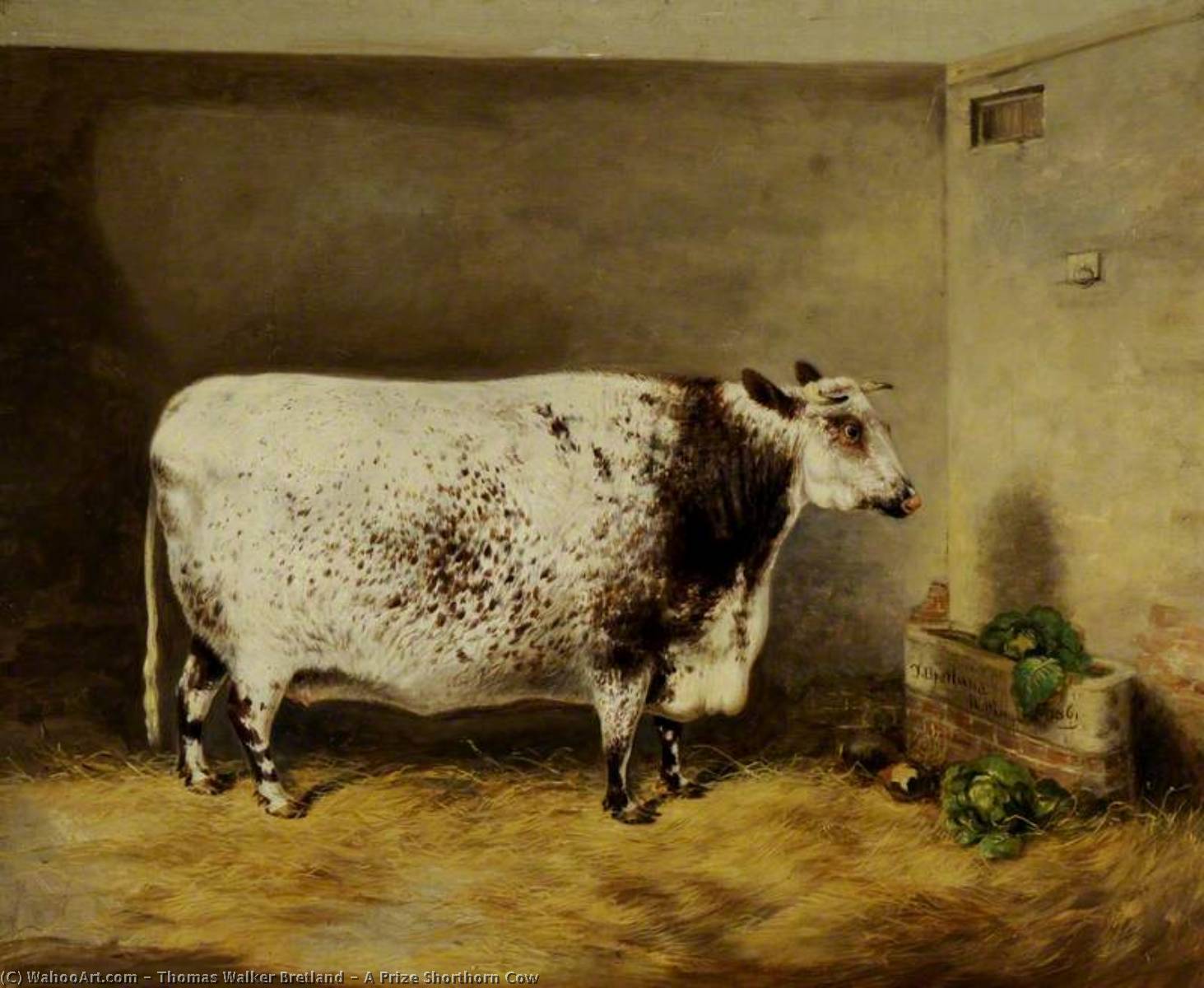 A Prize Shorthorn Cow — Thomas Walker Bretland
