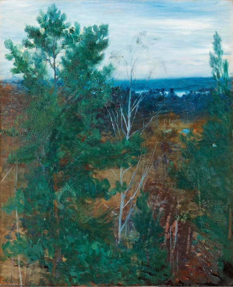 Forest Landscape — Robert Thegerstrom