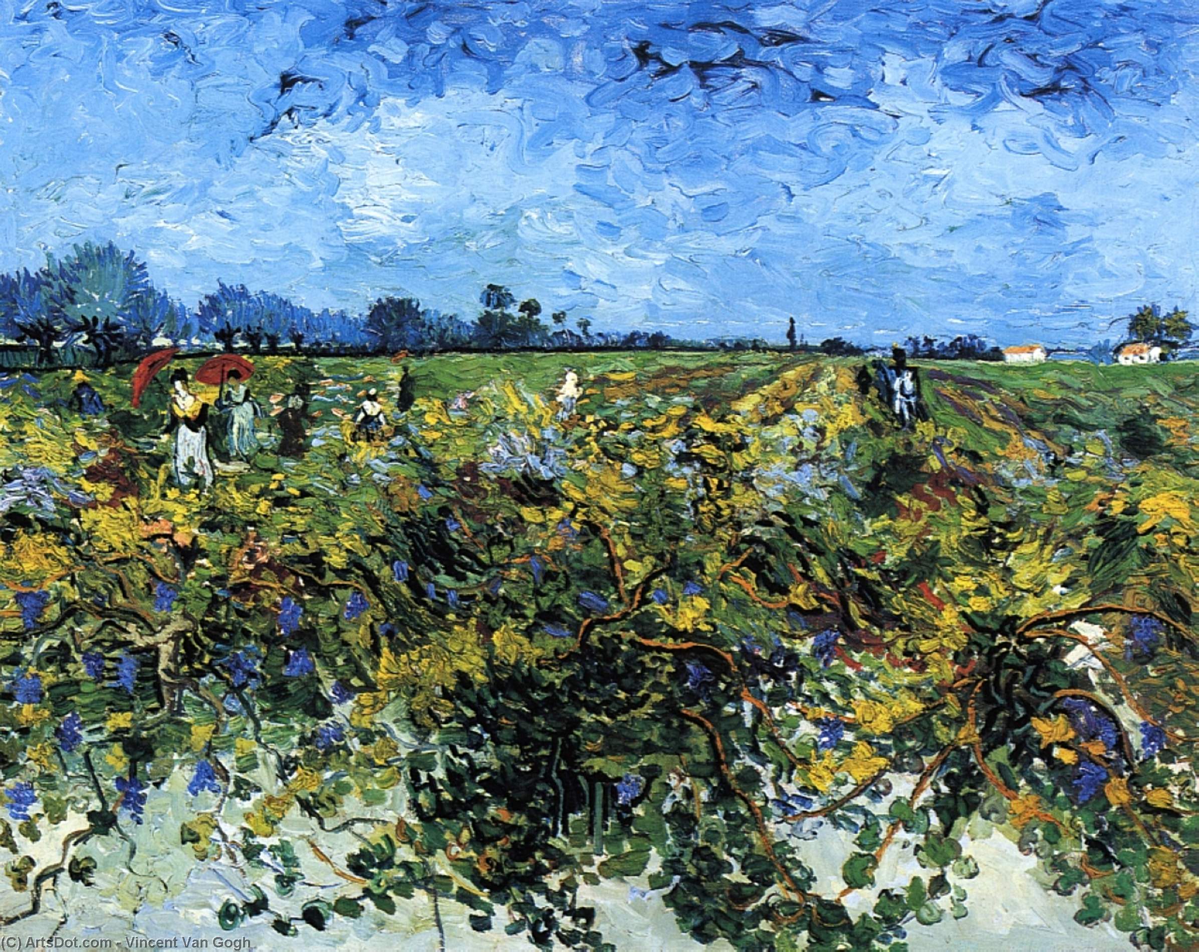 Rohe Vine — Vincent Van Gogh