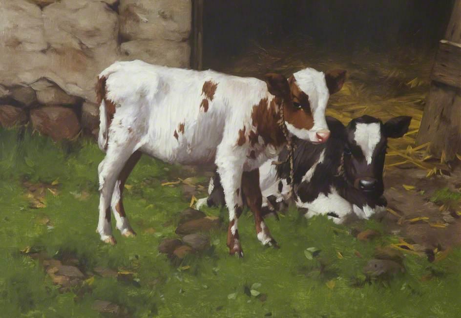 Repose — David Gauld