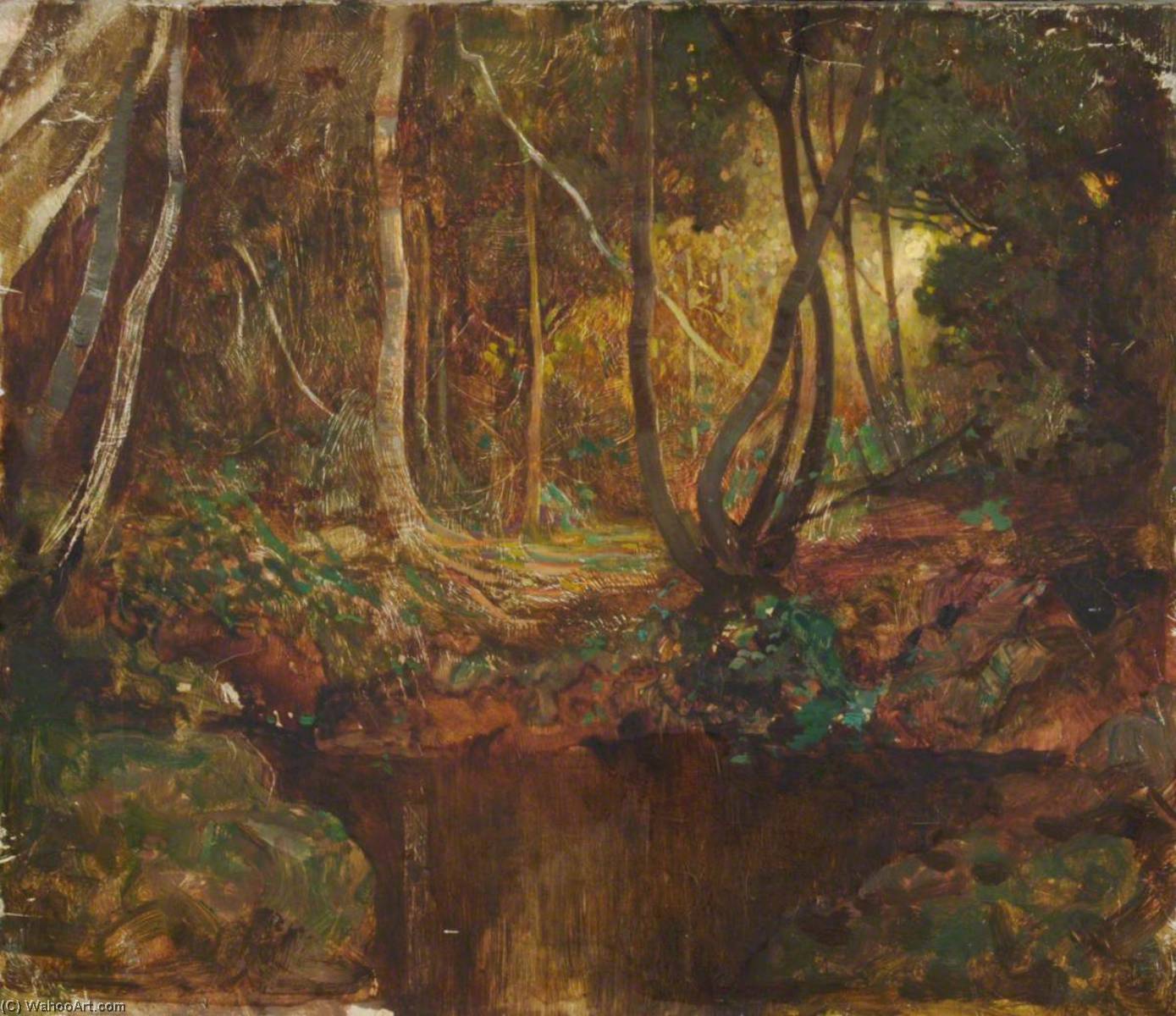 Pond Deep Within Wood — Benjamin Haughton