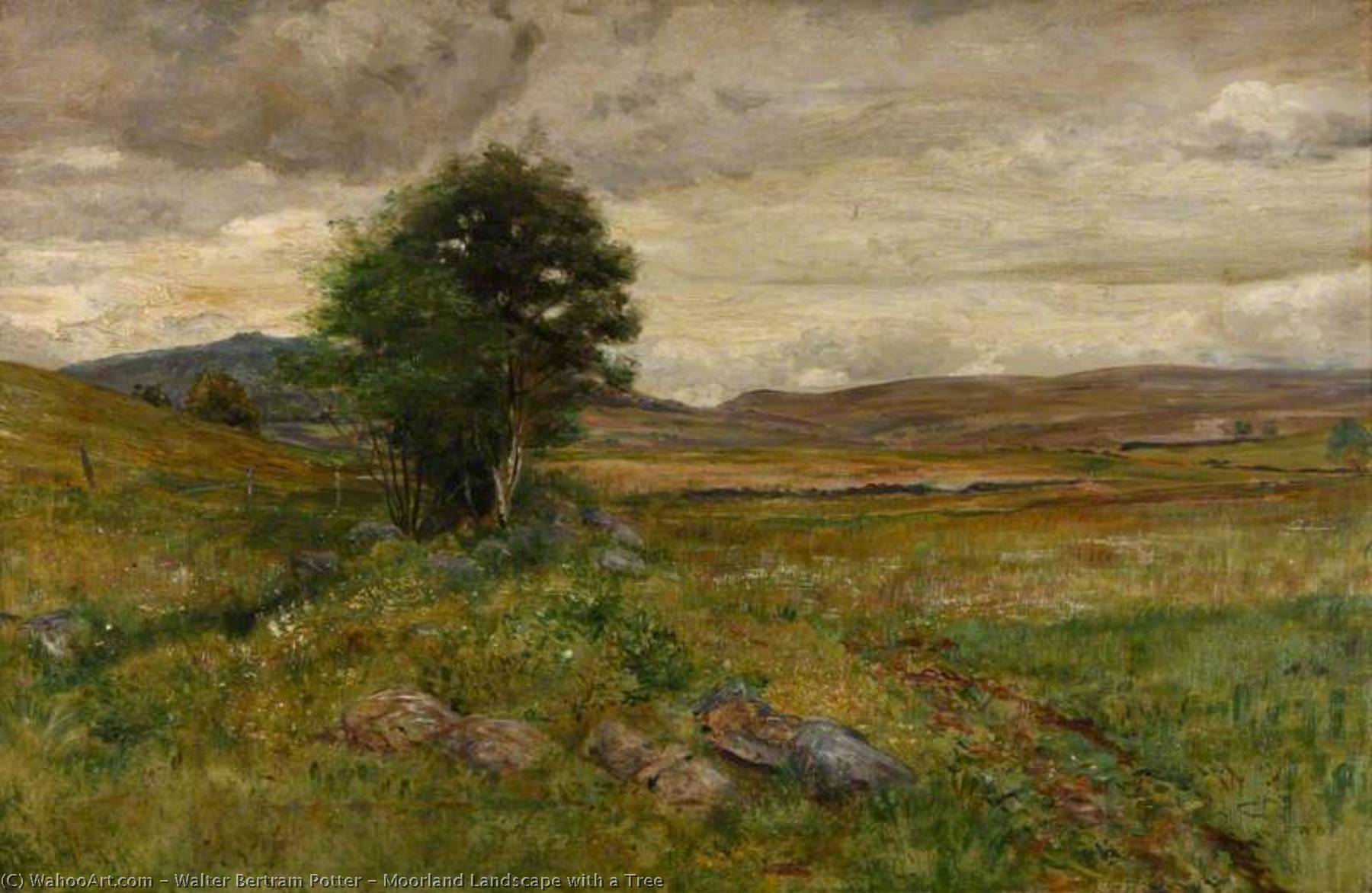 Moorland Landscape With A Tree — Walter Bertram Potter