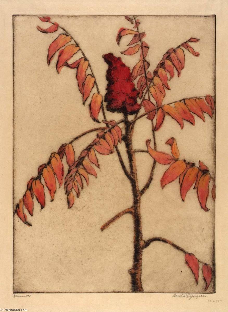 Sumac — Bertha Evelyn Jaques