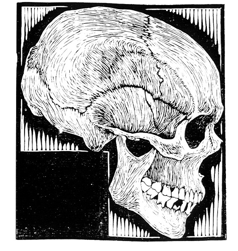Skull — Maurits Cornelis Escher