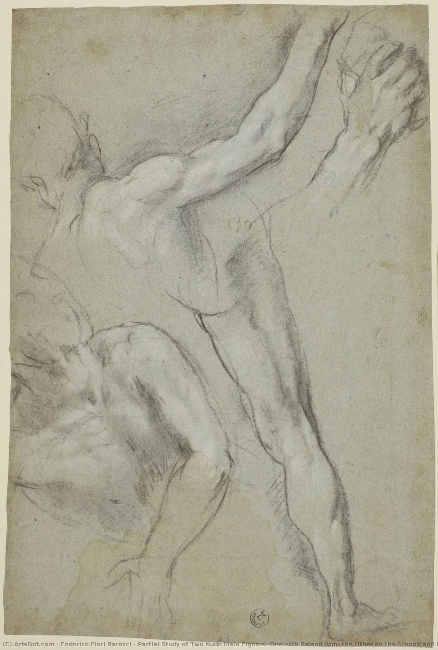 Teilstudie Zweier Männlicher Aktfiguren, Eine Mit Erhobenem Arm, Die Andere Am Boden Sowie Bein- Und Armstudien Der Ersten (für „martyrium Des Heiligen Vitalis“, Mailand, Pinacoteca Di Brera) — Federico Fiori Barocci