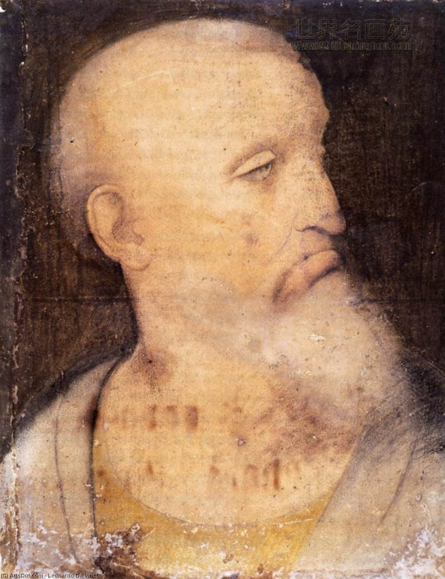 Head Of St Andrew — 레오나르도 다 빈치